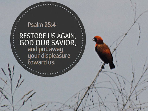 Prayer for Renewal