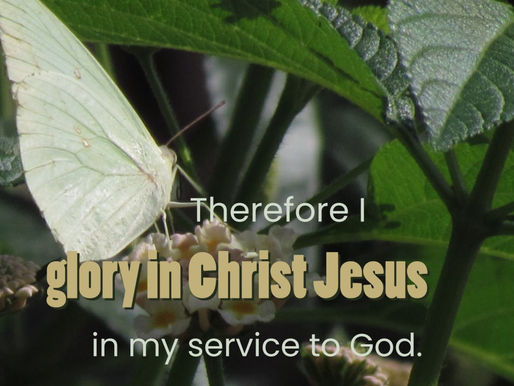 PLANTED FOR HIS GLORY