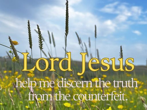 DISCERN THE FAKE