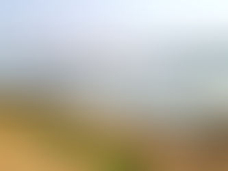 A VISION THAT TRANSFORMS