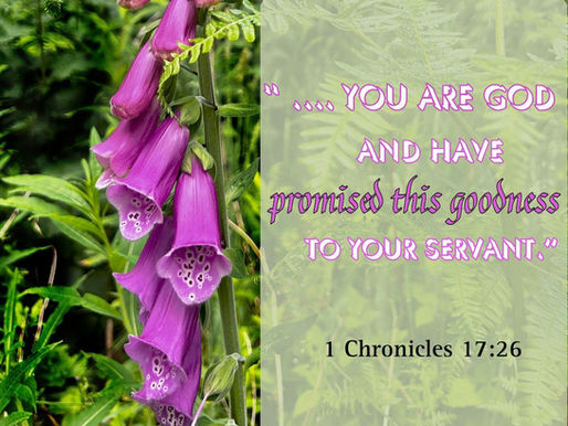 Response to GOD’s Promises