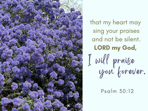 REMEMBER GOD’S GOODNESS!