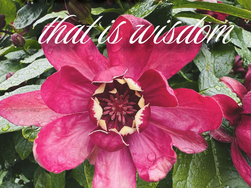 FINDING WISDOM