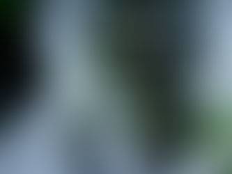 A PRIVILEGED APPROACH!