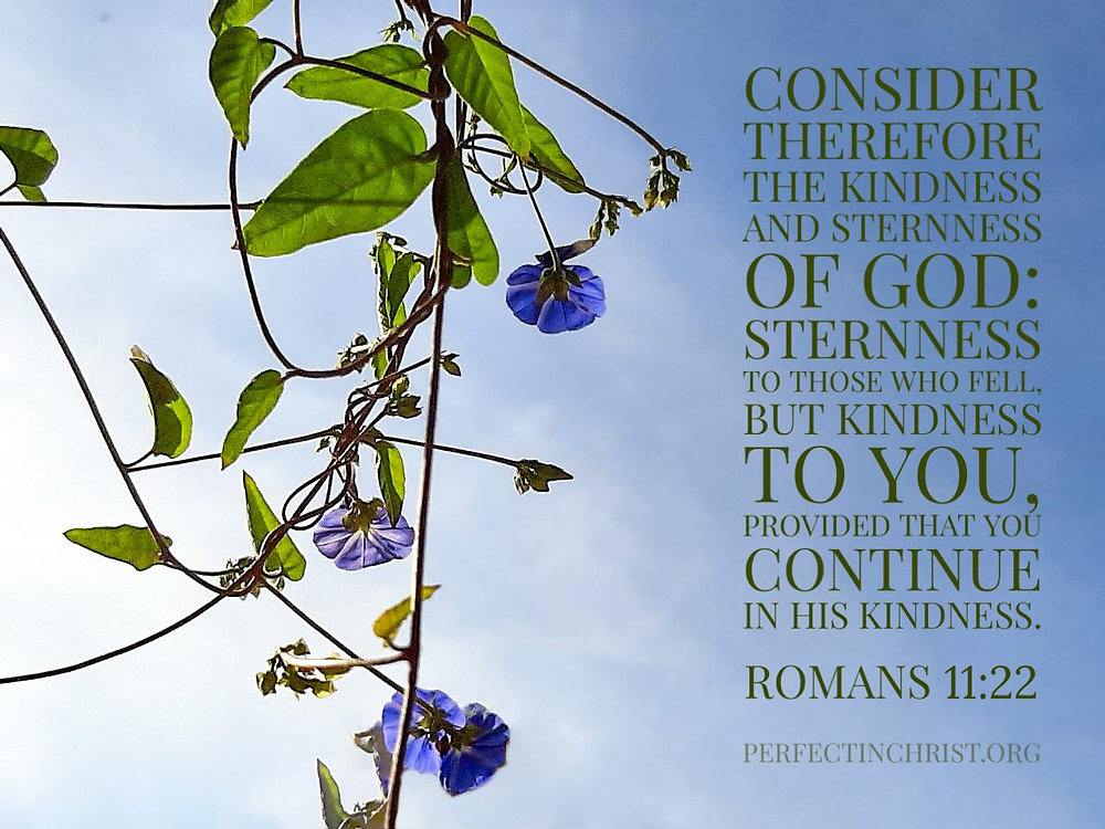 GRAFTED INTO GOD’S FAMILY