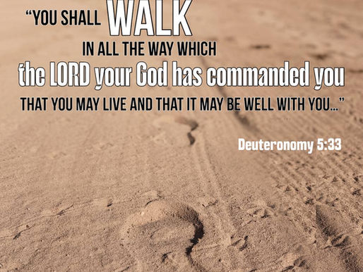 Stay on the Path
