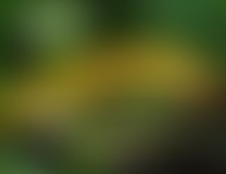 The Heart of Humility