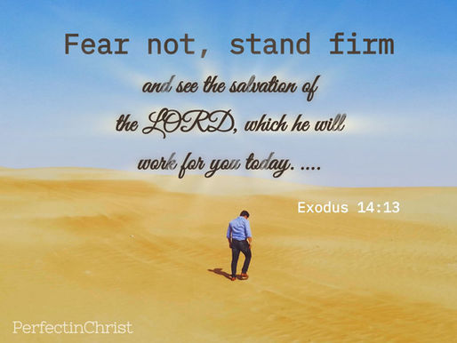 The Salvation of the LORD