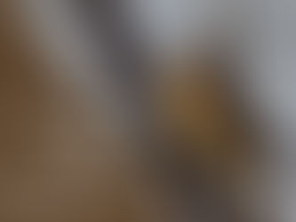 Confidence in the LORD!