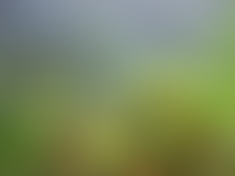 A GRATEFUL HEART IN PRAISE!