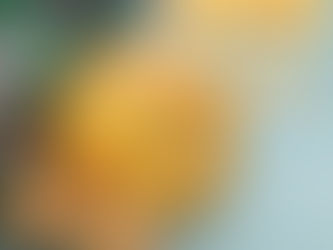 THE LASTING FAITHFUL!