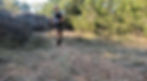 Carol following Enzo back to the trail at Inks Lake State Park