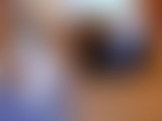 Our 'stealth' kitty litter box being used as a blockade after the kittens climbed into the dash.