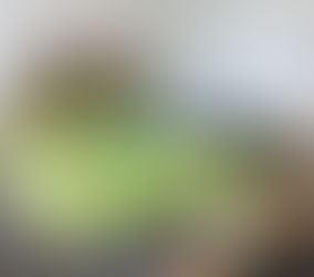 Les jeux et jouets : 0-9 mois