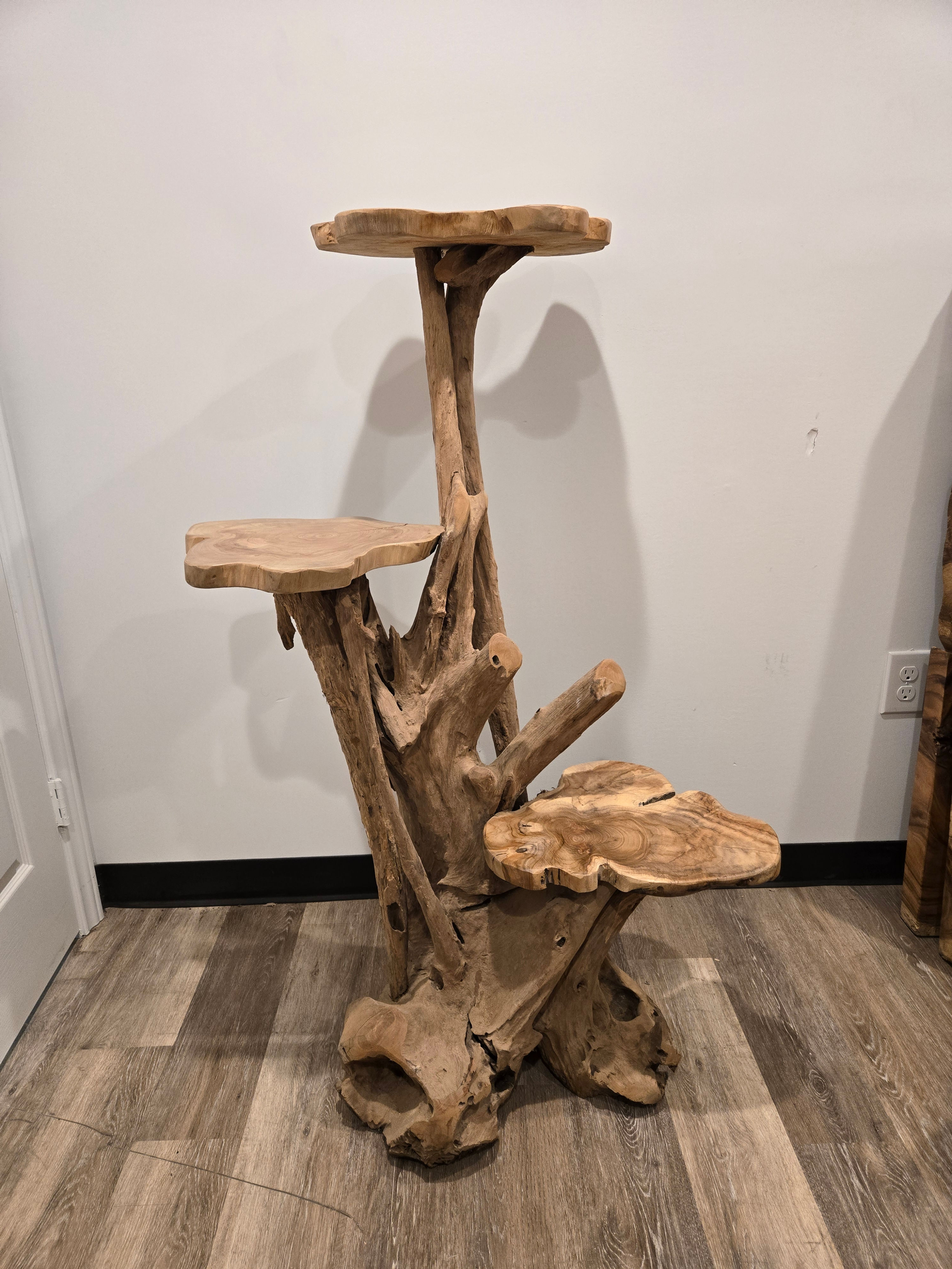 Teak Root Multi-Shelf Stand