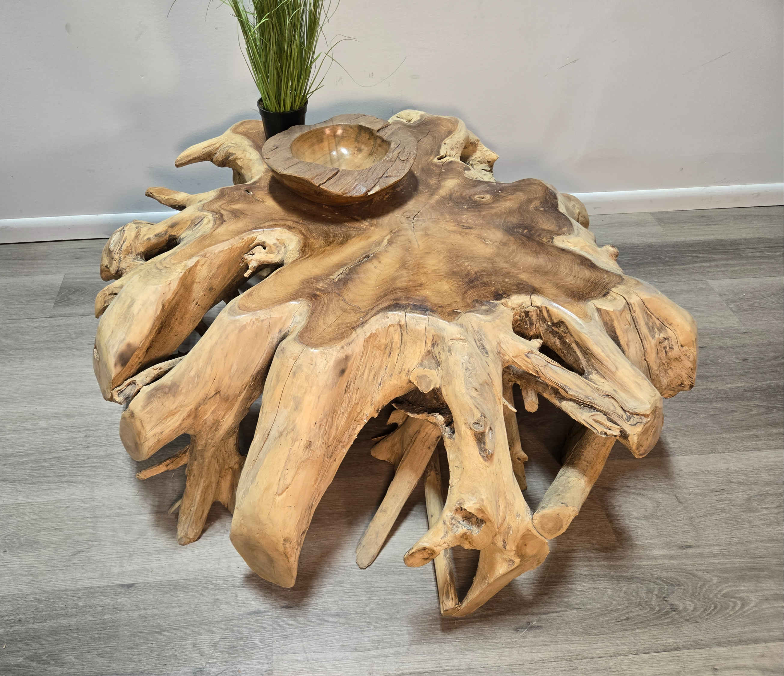 4 ft Teak Root Coffee Table