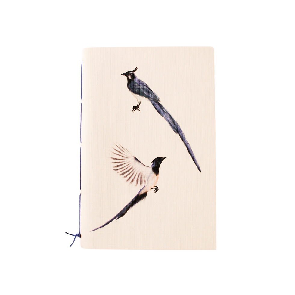 Miniatura: Paquete de libretas «Aves mexicanas»