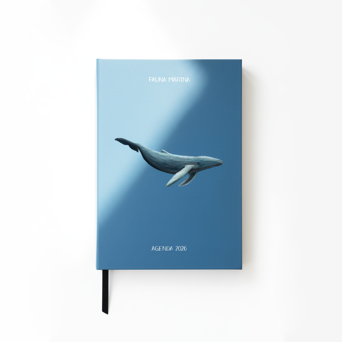 Agenda 2026 Fauna marina