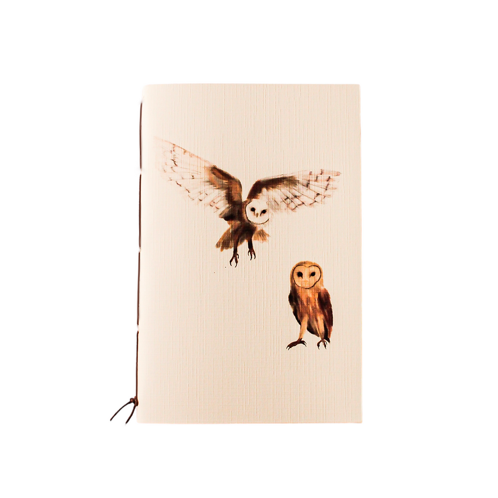 Miniatura: Paquete de libretas «Aves mexicanas»