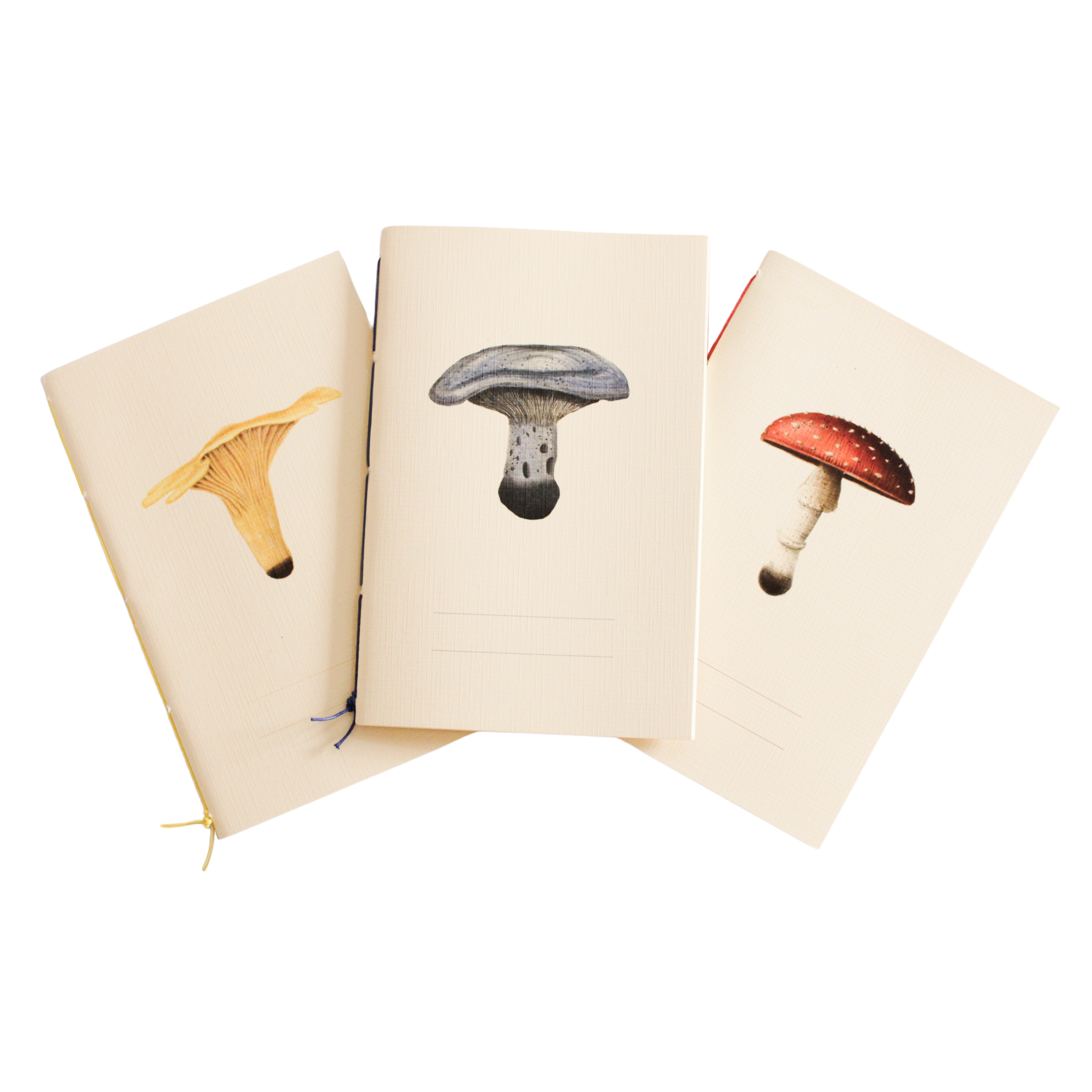 Paquete de libretas «Hongos»
