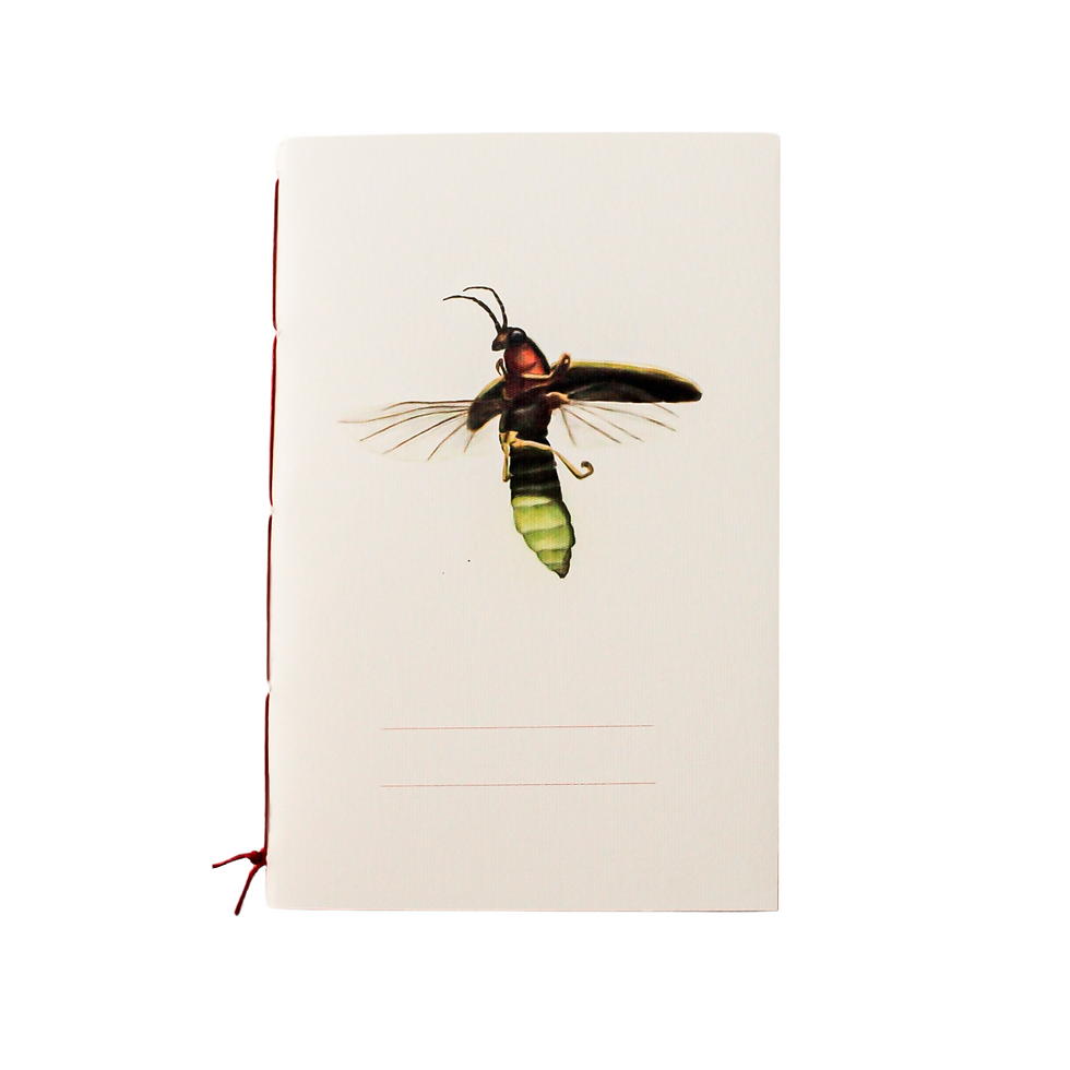 Miniatura: Paquete de libretas «Bichos»