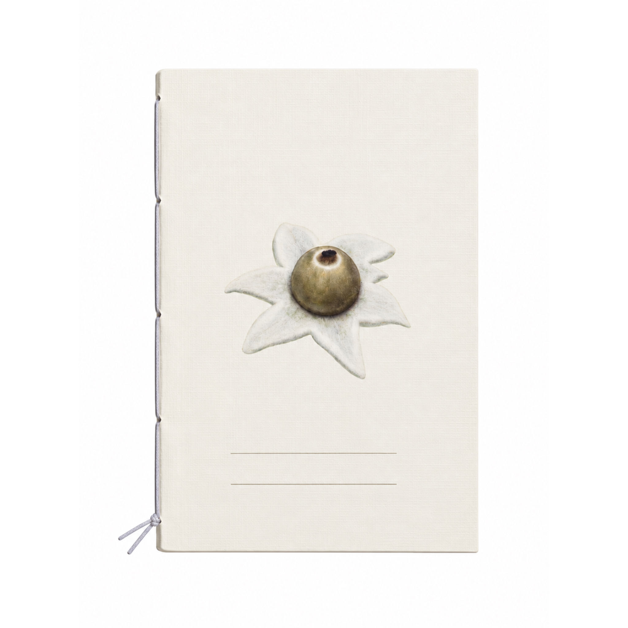 Libreta Geastrum Triplex