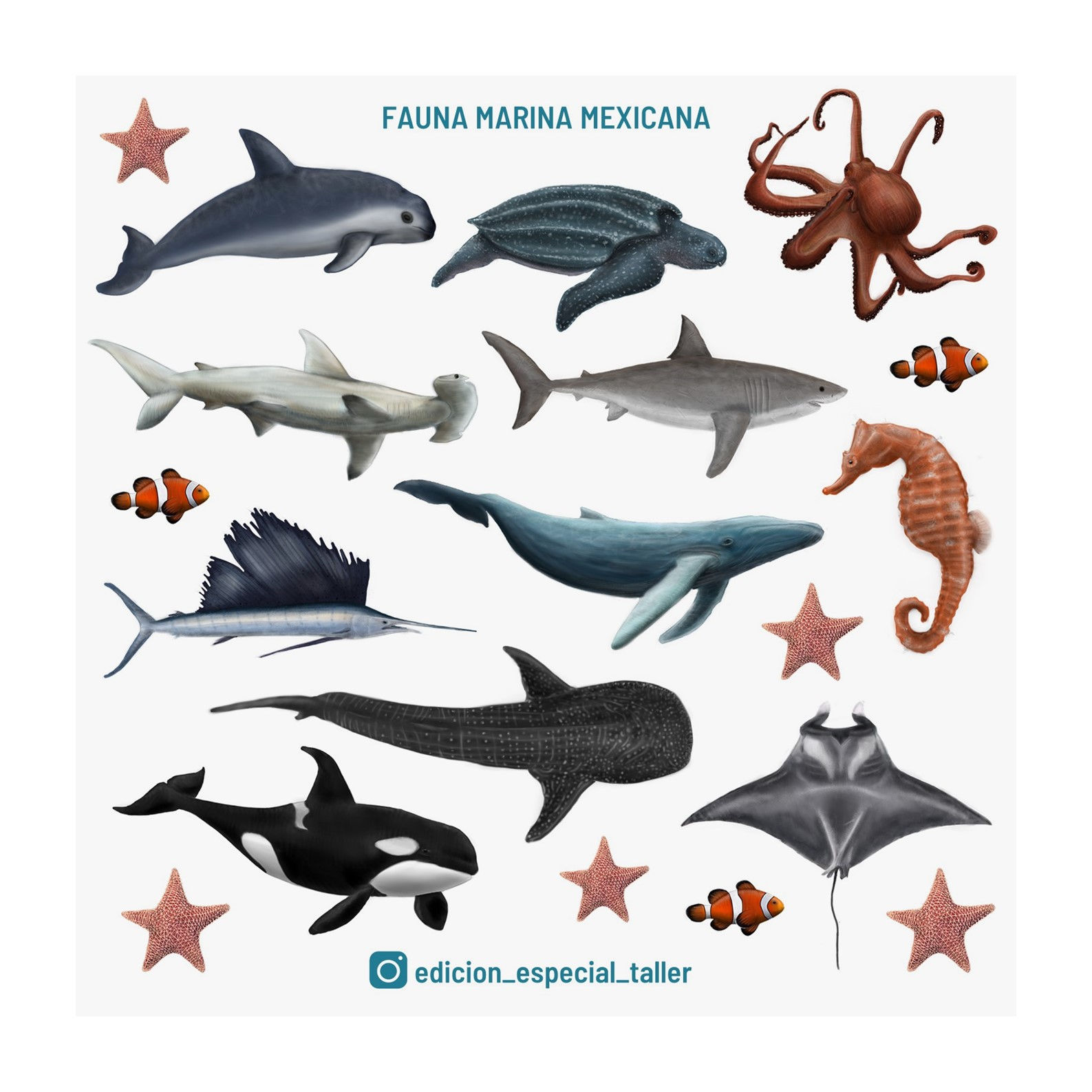 Stickers Fauna marina