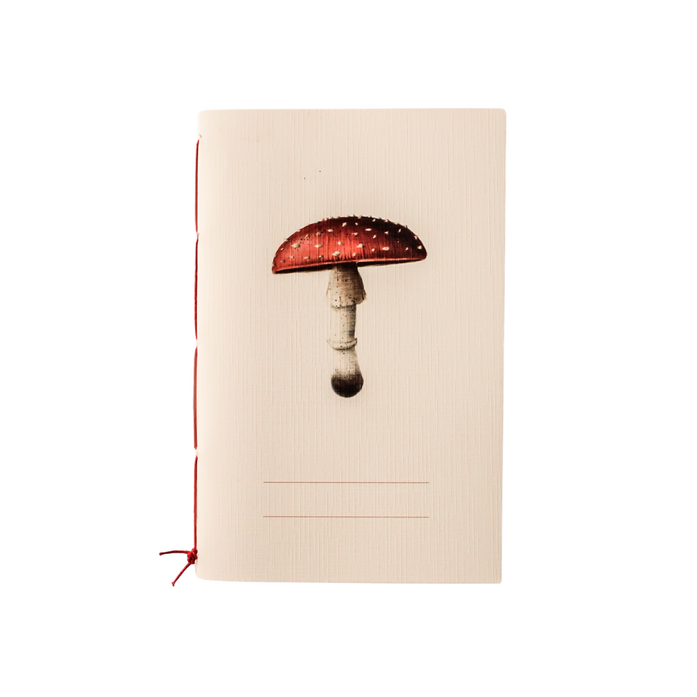 Miniatura: Paquete de libretas «Hongos»