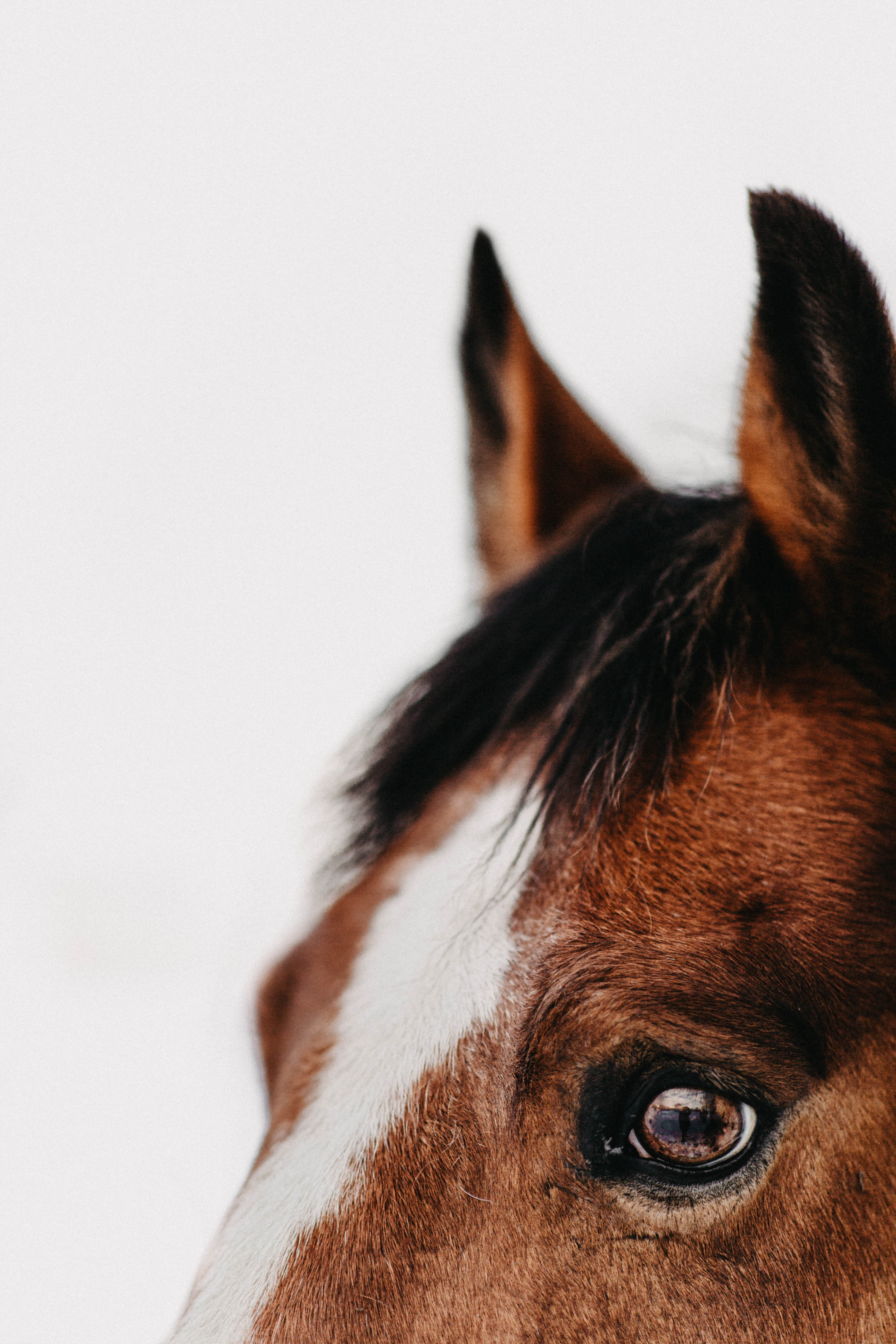 Watching The Horizon