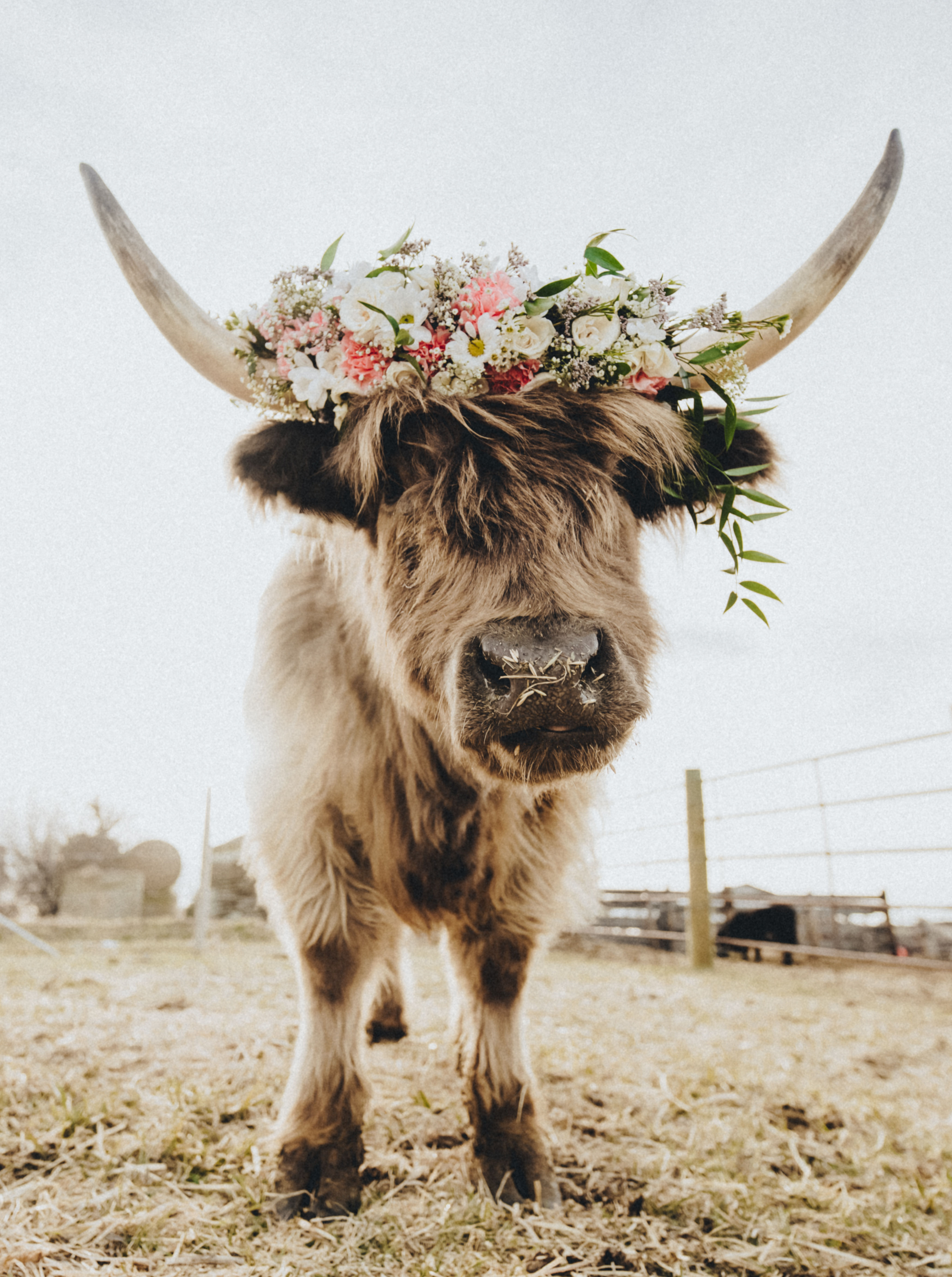 Bonnie Floral Crown #2