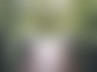 Resilience in conflict