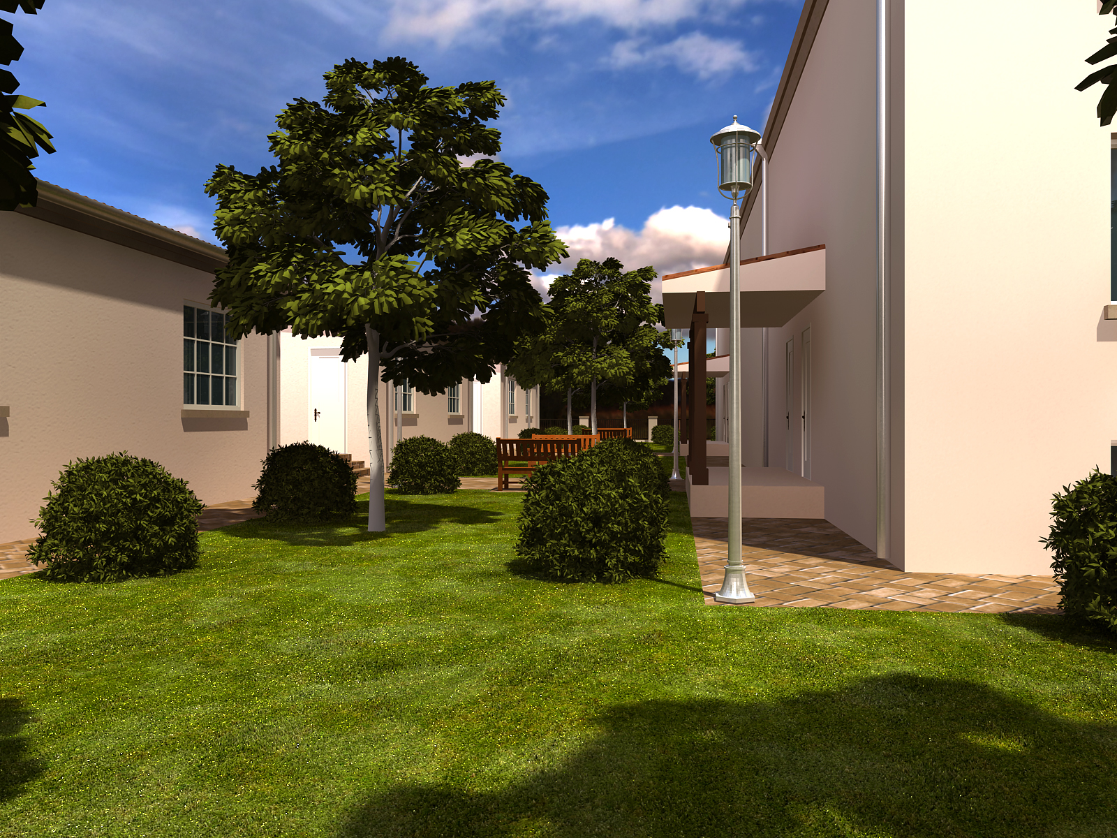 Backyard perspective01