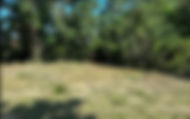 Screenshot 2026-06-23 225046.jpg