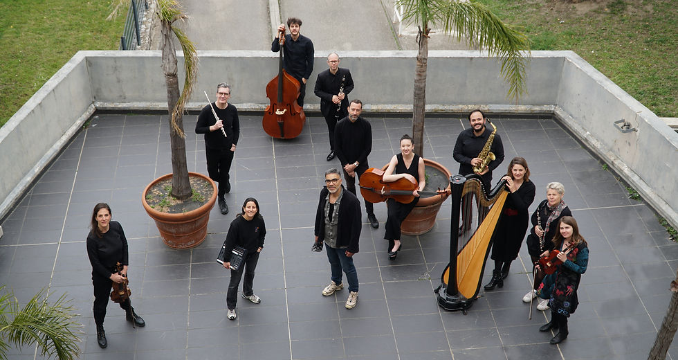 Ensemble Metis copy.JPG