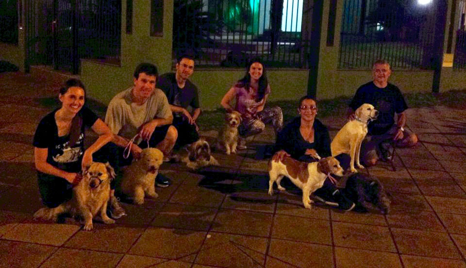 Caminhada canina