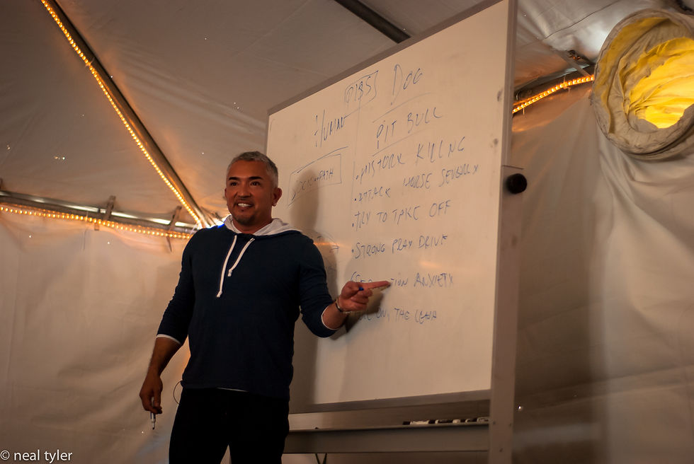 Cesar Millan