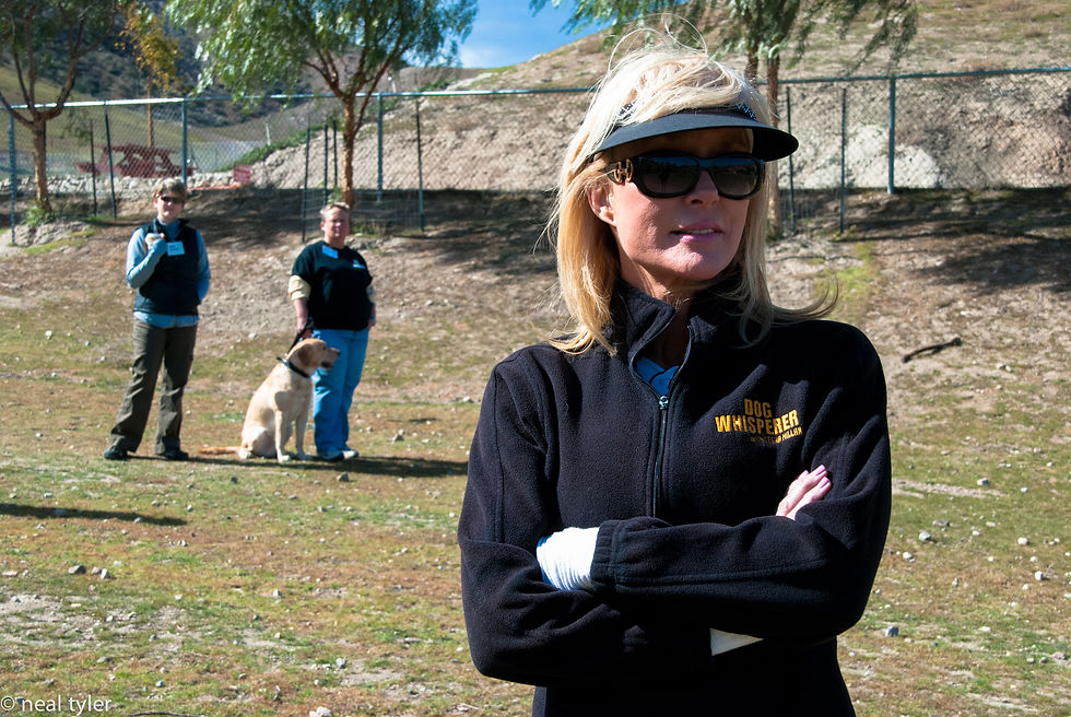 Cheri - Dog Psychology Center