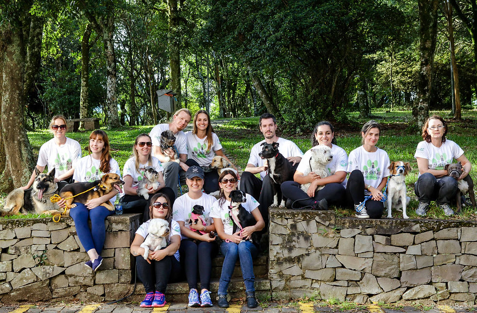 A turma
