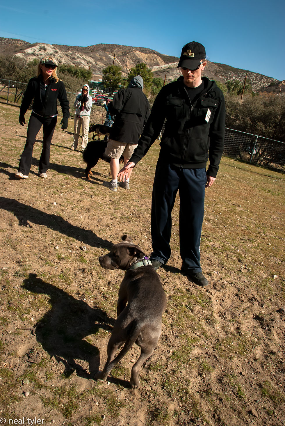 Dog Psychology Center