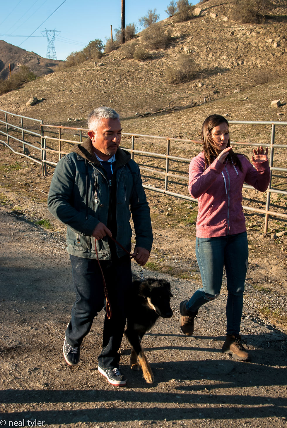 Cesar Millan