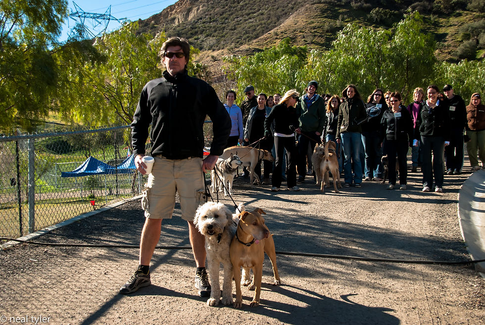 Brian - Dog Psychology Center
