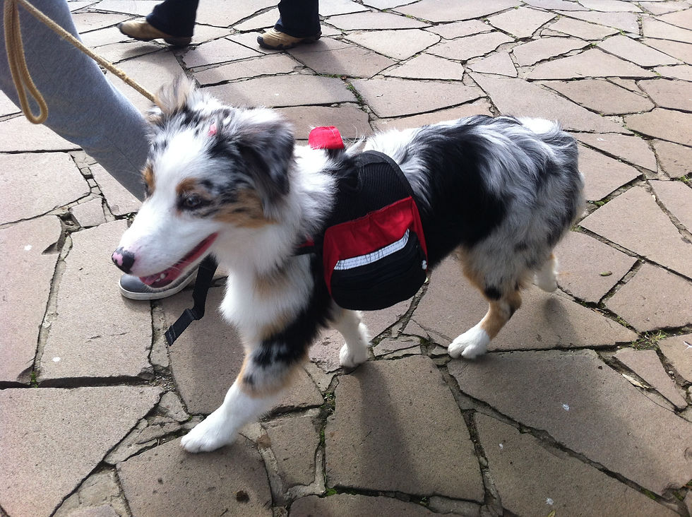 Mochila