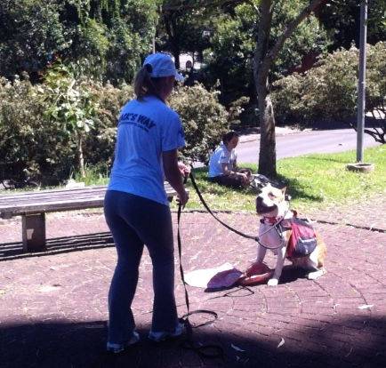 Conectando