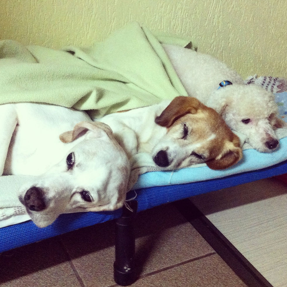 Relaxando como sempre