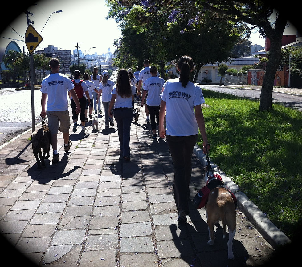Caminhada