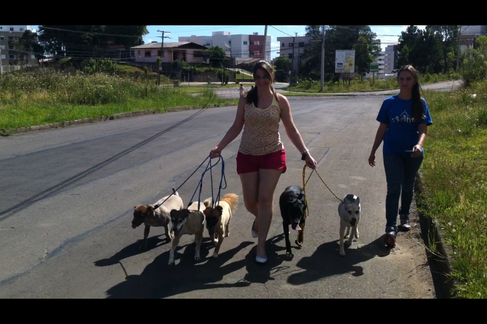 Caminhada