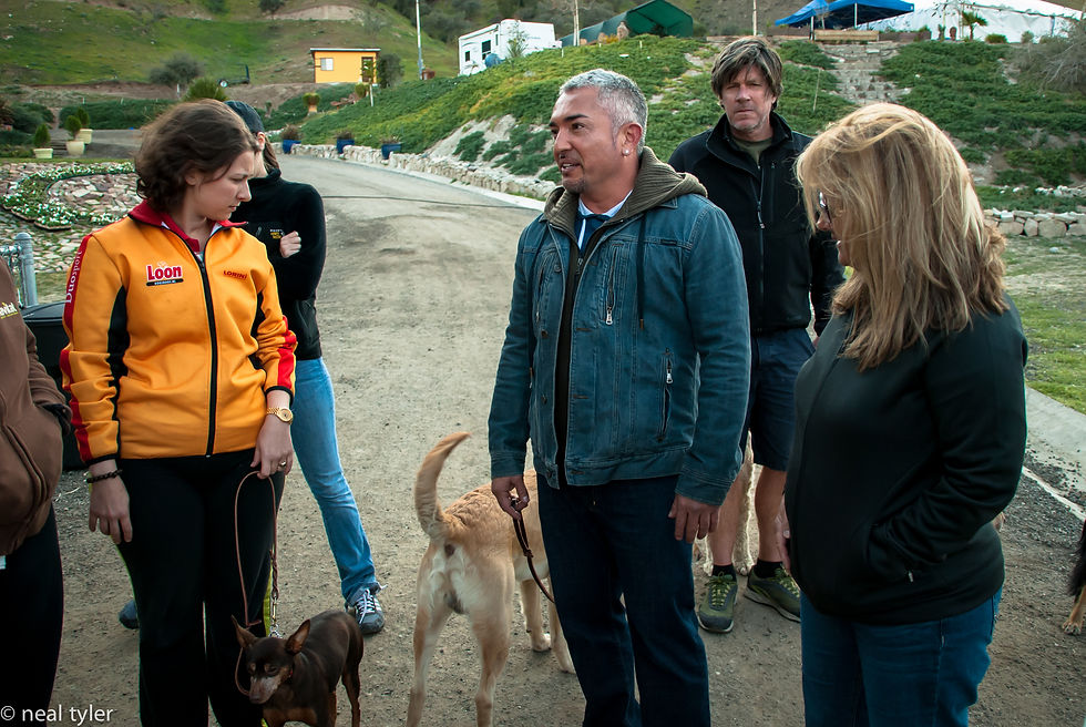 Cesar Millan