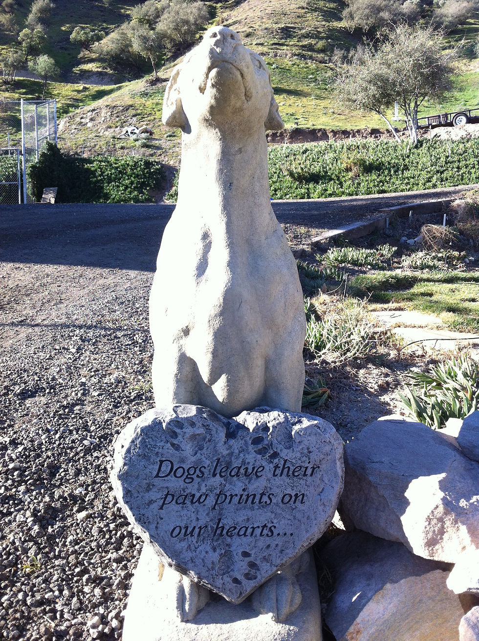 Dog Psychology Center