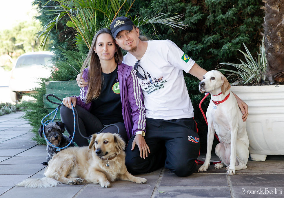 Os organizadores