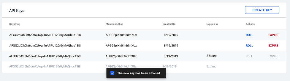 API key table with new key created toast